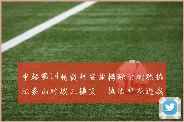 中超第14轮裁判安排揭晓甘树然执法泰山对战三镇艾堃执法申花迎战新鹏城