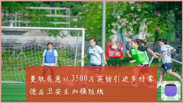 曼联有意以3500万英镑引进多特蒙德后卫安东加强防线