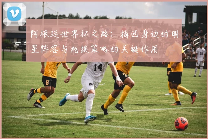 阿根廷世界杯之路：梅西身边的明星阵容与轮换策略的关键作用